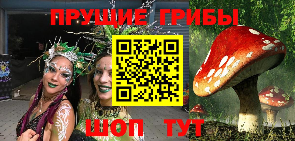 Псилоцибиновые грибы MAGIC MUSHROOMS  Вход с VPN  Соликамск 